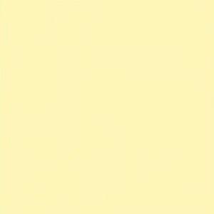 Paint and Paper Library Hornblende Paint