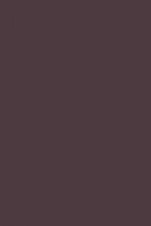 FARROW AND BALL PELT NO. 254 PAINT