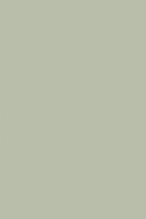 FARROW AND BALL PIGEON NO. 25 PAINT