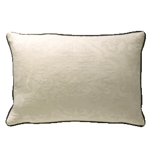 Pisa/Gecko Cushion