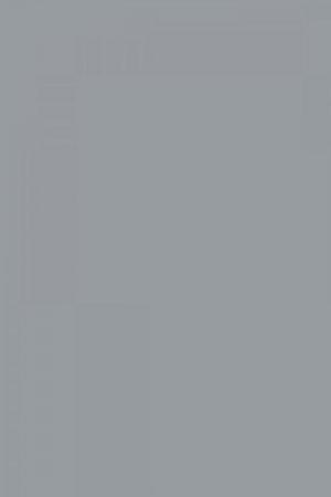 FARROW AND BALL PLUMMETT NO. 272 PAINT