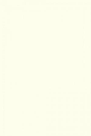 FARROW AND BALL POINTING NO. 2003 PAINT
