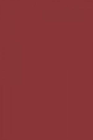 FARROW AND BALL RADICCHIO NO. 96 PAINT