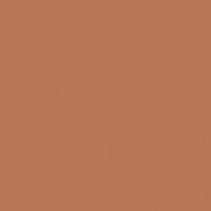 Paint and Paper Library Rouge Paint