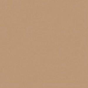 Paint and Paper Library Souchong Paint