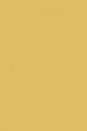 FARROW AND BALL STRAW NO. 52 PAINT
