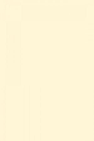 FARROW AND BALL TALLOW NO. 203 PAINT