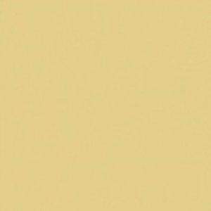 Paint and Paper Library Vellum Paint