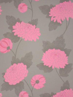 OSBORNE & LITTLE WILDE CHRYSANTHEMUM WALLPAPER