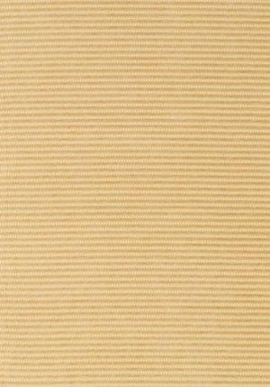 Thibaut Avalon Current Woven Fabric