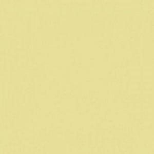 Paint and Paper Library Yorkstone Paint