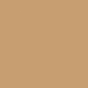ZOFFANY PAINT  BUTTERSCOTCH