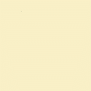 ZOFFANY PAINT  CANVAS