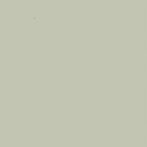 ZOFFANY PAINT  DOVE