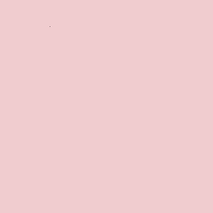ZOFFANY PAINT  FADED ROSE