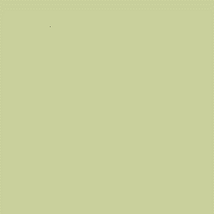 ZOFFANY PAINT  FENNEL