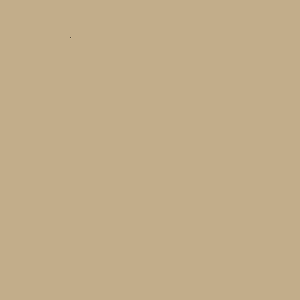 ZOFFANY PAINT  FOSSIL