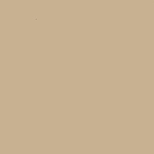 ZOFFANY PAINT  GREEN ALMOND