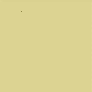 ZOFFANY PAINT  GREEN TEA