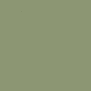 ZOFFANY PAINT  LICHEN