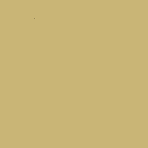 ZOFFANY PAINT  MANILA