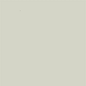 ZOFFANY PAINT  PARIS GREY