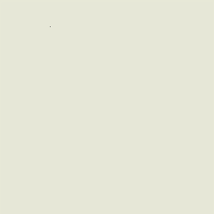 ZOFFANY PAINT  PLATINUM GREY