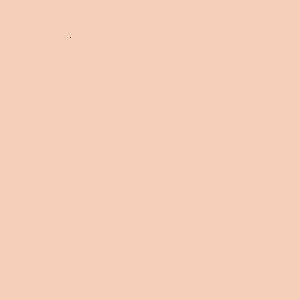 ZOFFANY PAINT  SILK