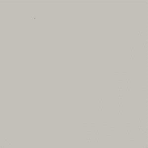 ZOFFANY PAINT  SILVER