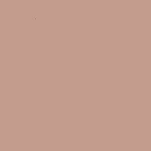 ZOFFANY PAINT  SUEDE