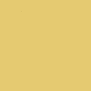 ZOFFANY PAINT  VERMEER YELLOW