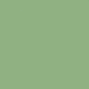 ZOFFANY PAINT  WILLOW