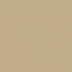 ZOFFANY PAINT  FOSSIL