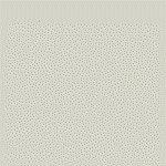 ZOFFANY PAINT  PARIS GREY