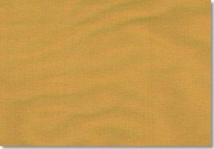 CHASE ERWIN PENNANT FABRIC