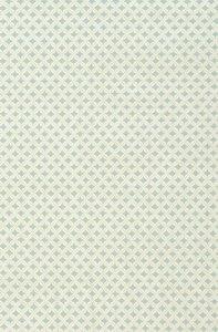 Thibaut Shangri-La  Bernard Woven Fabric