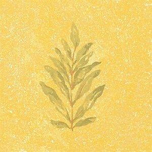 Thibaut Palladio Caesar Wallpaper