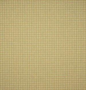 SANDERSON SKYE FABRIC