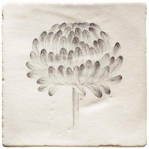 MARLBOROUGH TILES BOTANICAL ETCHINGS SQUARE TILES