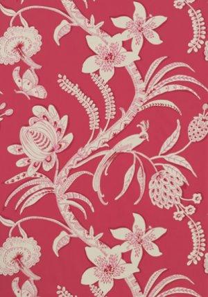 Thibaut Avalon Ecuador Wallpaper