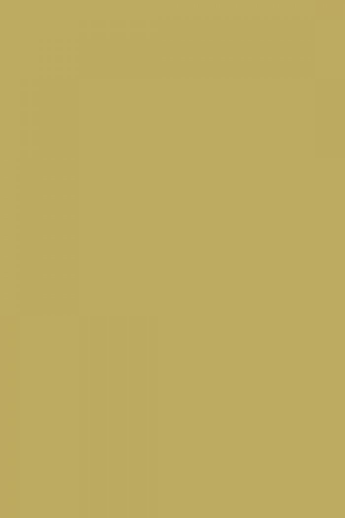 Farrow and Ball Churlish Green No. 251 Paint | Alexander ...
