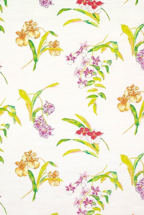Buy Nina Campbell Perroquet Orchis Fabric online Alexander Interiors