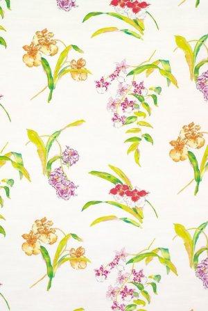 Nina Campbell Perroquet Orchis Fabric