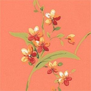 Thibaut Spring Lake Orchid Trail Wallpaper