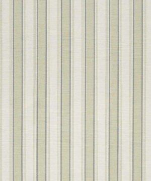Bennison Pavilion Stripe