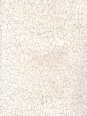 ZOFFANY RAKU OYSTER WALLPAPER
