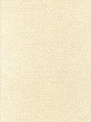 ZOFFANY RAKU STONE WALLPAPER