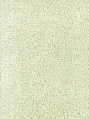 ZOFFANY RAKU PORCELAIN WALLPAPER