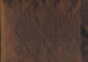 CHASE ERWIN CADENZA FABRIC