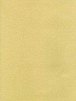 ZOFFANY FIAMMA - BRONZE ELEMENTI WALLPAPER